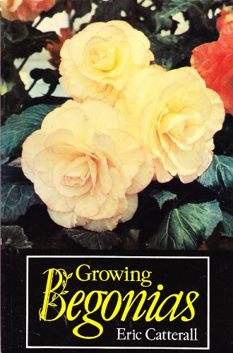 Growing Begonias