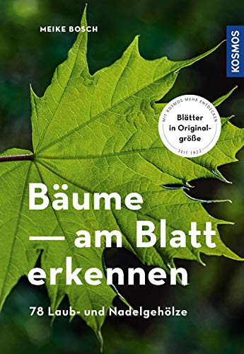 Bäume am Blatt erkennen: 78 Laub- und Nadelbäume. Blätter in Originalgröße. Mit Kosmos mehr entdecken
