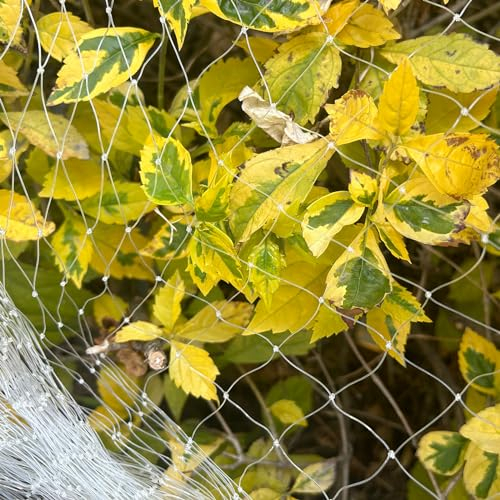 LINSOCLE 3m x 10m Malla Antipalomas, Red Antipajaros, Reutilizable Redes para Pajaros, Adecuado para Huerto, Balcones, Gallinero y AntiGatos