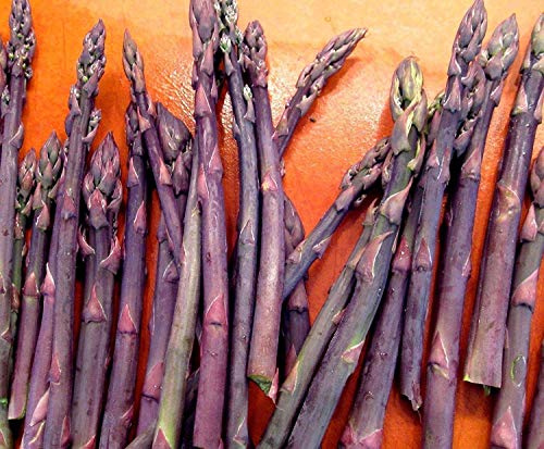 ® 5 asparagi corona, asparagi, viola passione 2 anno di radici :Semi solo