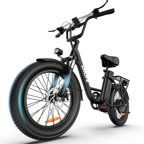 URLIFE Electric Bike for Adults, 20 x 3.0 Fat Tire Electric Bikes with 7 Speed, 100km Max Range, 250W Motor Ebike, 48V 13Ah Removable Battery, Colorful LCD Display, E Bike for Adults Commute (Black)