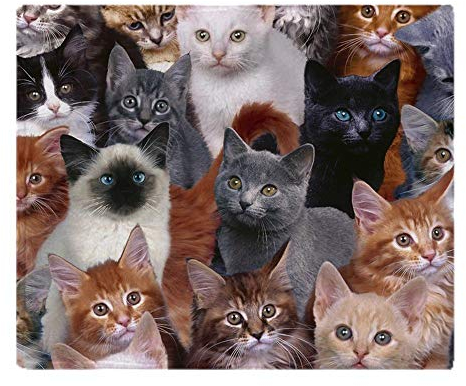 YISUMEI Decke Katzen Kuscheldecken Weich Flanell Fleecedecke Bettüberwurf(150x200cm)