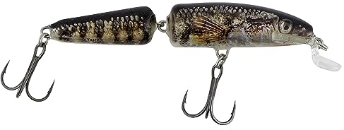 Salmo Fanatic Wobbler 7cm 5g schwimmend Holo Stickleback