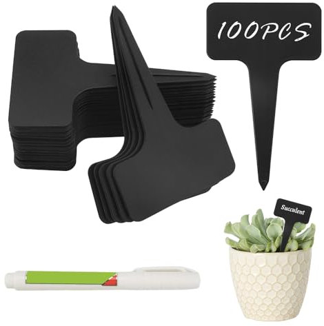 Riisoyu Lot de 100 étiquettes pour plantes, étiquettes de jardin pour pépinière avec un marqueur inclus avec stylo marqueur Idéal pour jardins, vergers ou fermes