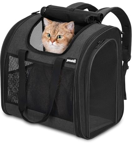 Pecute Sac à Dos Chat Chien Extra Large, Sac Transport pour Chat Petit Chien Respirant, Sac a Dos de Transport Chat avec Matelas en Amovible,Noir
