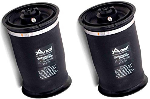 ARNOTT Set of 2 Rear Suspension Air Bags/Springs Left + Right for BMW X5 X6 - PartsImport