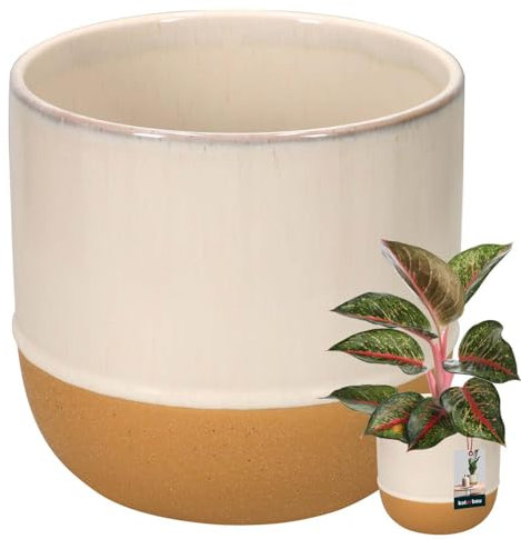 KOTARBAU® Blumentopf Beige Creme Orange Keramik Höhe 16 cm ⌀ 17 cm Übertopf für Wohnzimmer Handmade Pflanzenübertopf für Garten & Balkon Vintage Pflanzkübel Beige