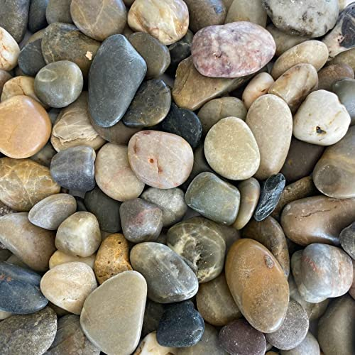 Eurosand FLUSSKIESEL, 1 kg. Kieselsteine gerundet, 20-60mm Flußkiesel 1000 g. GEMISCHT