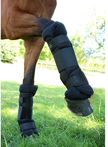 Chevallo Einführungspreis Stallgamaschen Größe L, 2 Stück