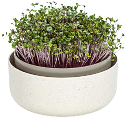 Moutta | Microgreens,Cuenco de Cultivo de plástico con Mezcla de posos de café, diseño germinador para brotes, 16 cm, Caja Germinal para el Cultivo de Semillas de Berro