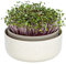 Moutta | Microgreens,Cuenco de cultivo de plástico con mezcla de posos de café, diseño germinador para brotes, 16 cm, caja germinal para el cultivo de semillas de berro