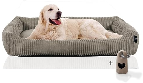 Rohrschneider Hundesofa große Hunde | Cord Hundebett groß | Dog Bed XXL | Weiches Hundebett erhöht | Pflegeleichtes Hundekörbchen mit Hundekissen 120x80 cm | kuschelig | Geschenke Hundeliebhaber