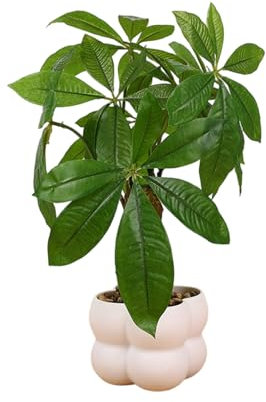 Psdndeww Künstliche Geldpflanze Künstlicher Geldbaum Topfpflanze Realistische Simulation Geldbaum Für Innendekoration