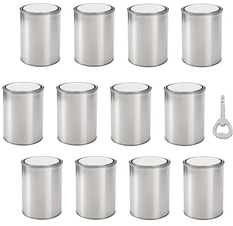 Barattoli di stoccaggio per vernice – Barattoli di metallo vuoti con coperchio, contenitori per la vernice per garage non eseguiti | Craft Project Supply Cans, 0,5 l, multiuso per progetti, arte