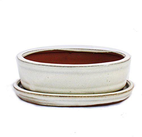 Exotenherz – bonsai skål med fat storlek 2 – ljusbeige – oval – modell O7 – L 15,5 cm – B 12 cm – H 4,5 cm