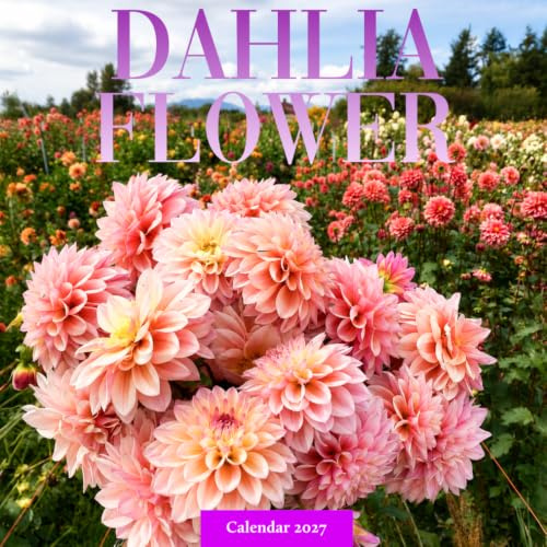 Dahlia Flower Calendar 2027: Seasonal Blooms and Garden Scenes