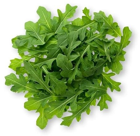 100 semi di rucola verde