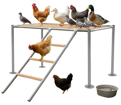 Mqwdxzfes kycklingstång plattform 105 x 60 x 60 cm med stege, för 10 kycklingar