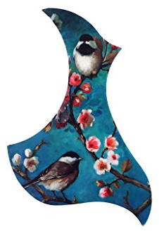 Alnicov 1 x Universal-Schlagbrett für Folk-Akustikgitarre, selbstklebend, für Akustikgitarre