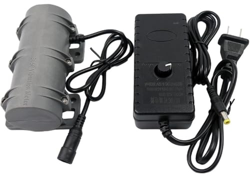 DC12V/24V vibrationsmotor, dubbel 3800 rpm vibration excentrisk motor för medicinska instrument massage sängstol, hållbar motor vibrator (12 V motor + amerikansk adapter)