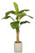 hjh OFFICE Kunstpflanze Banane I 150 cm Künstliche Deko Pflanze, Pflegeleichte Bananenpflanze, Kunstbaum für Wohnzimmer Schlafzimmer Büro