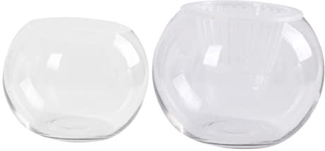 KAILIKETIY Vaso De Vidrio Transparente para Hidroponía Jarrón Esférico Decorativo para Plantas para Oficina y Hogar Soporte Creativo para Suculentas y Flores