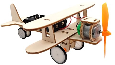 MOLUCKFU Modellino Educativo Ragazza, Ragazzo e School To Back Party per Aereo Legno DIY Motore Elettrico Kit Stimola Pensiero e L'apprendimento