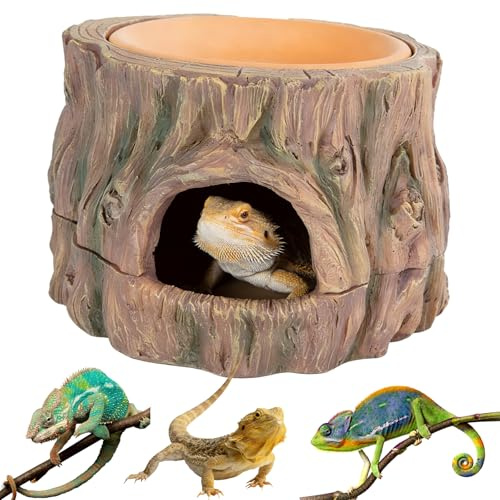 GOEDCH Reptiles 3 en 1 Cueva Ocultar Reptiles Protección: Cueva de reptiles, accesorios de terrario, anfibios escondite con hidratante, para gecko, lagartos, dragón barba, 16,2 × 15,2 × 1,5 cm