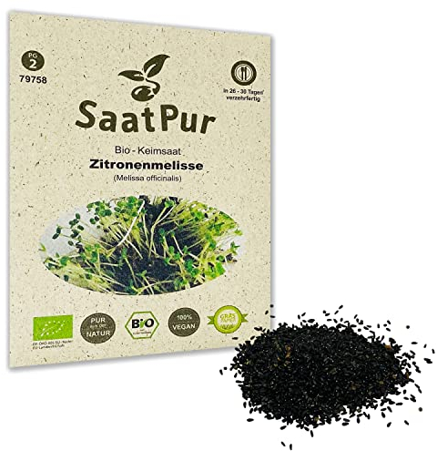 Zitronenmelisse BIO Keimsprossen von SaatPur - Keimsaat für die Sprossenzucht zuhause - 5g