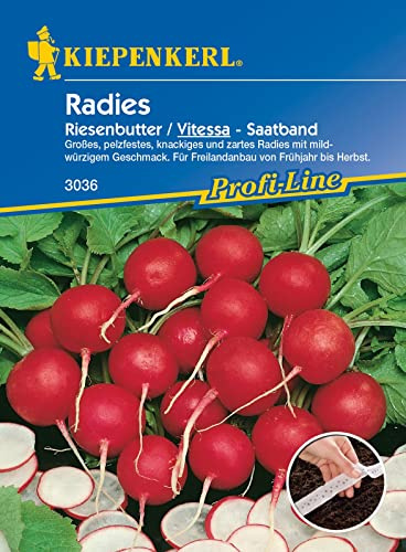 Kiepenkerl 3036 rädisa utsäde vitessa | Mild kryddig | rädisa frön utsäde band rädisa | radiska frön utsäde band