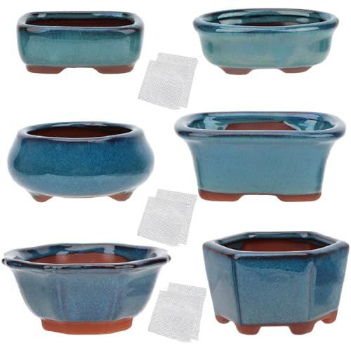 Happy Bonsai 6-teiliges Mini-Töpfe aus glasiertem Glas + 6 weiche Maschen-Drainagesiebe