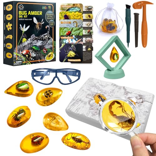 ALEENFOON Fósil de ámbar Kit de Excavación con Herramientas de Excavación y Páginas de Registro de Folletos, Kit de Ciencia de Fósiles con Anteojos y Marco de Exhibición