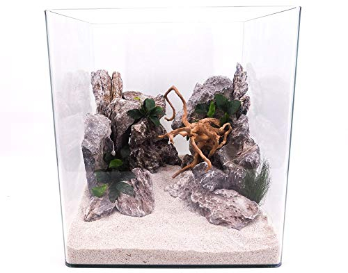 Amtra Technik Nanotank 60 Aquarium Abdeckung Unterlage Cube Becken Glasbecken Glasaquarium Panoramaglas Glas Süßwasser Würfel Cube