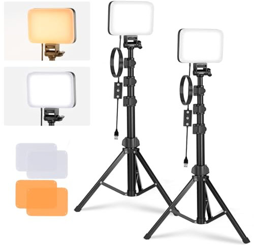 NEEWER Básico Panel Luz Vídeo LED Kit, 2 Pack Bicolor Estudio Foco Portátil con Soporte para Trípode y Filtros, 3200K~5600K CRI 95 750lux para Fotografía, Grabación, Transmisión en Vivo, BP66