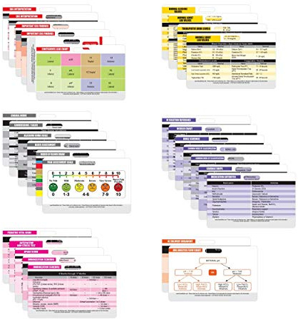 Nurse Nation 30 Horizontal Nursing Badge Reference Cards - Lab Values, EKG, Vitals, and More! (Bonus Cheat Sheets) Great Nurse Gifts - Nursing Student Accessories and Supplies!