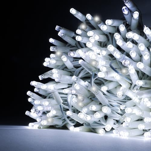 Luccika, Stringa LED MaxiLed 8mm Professionale, Tutto Flash, 10 Metri - 100 LED