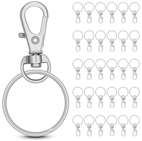 65 Sets Metal Swivel Clasp Hook with Key Rings,Mini Lobster Claw Clasps with Keychain for DIY Crafts,DIY Jewelry Making,Key Chain Making Kit,Silver