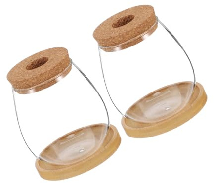 HEMOTON 2sets Hydroponic Glass Containers for Indoor Herb Growing Micro Landscape Bottle Bamboo Saucer for Office Decoration As Terrarium Flower Vase