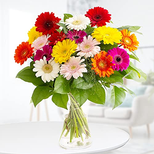 Blumenstrauß Bunte Gerbera, echte Blumen versenden mit 7-Tage-Frische-Garantie, von Floristen handgebunden, Blumenversand, Geschenkidee für viele Anlässe