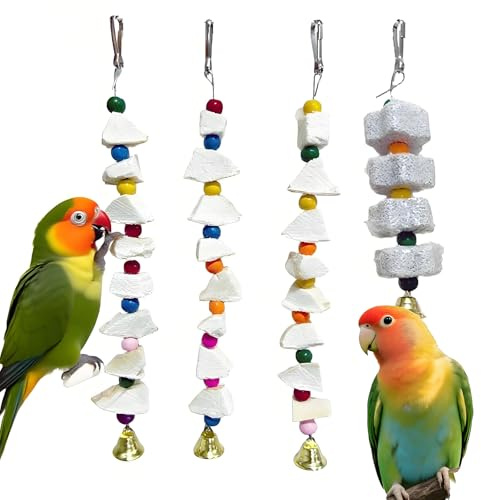 PRFOKEY 4 Pack Bird Toys with Cuttlebone & Grinding Stone