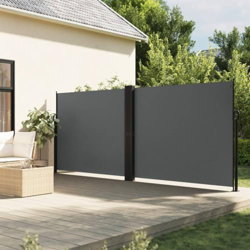 Generico Tenda da Sole Laterale Retrattile Antracite 160x1000 cm,Antracite,15.85kg,4004733