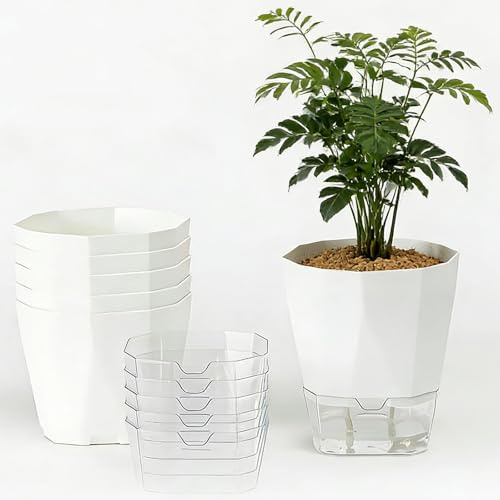 EUBSWA Macetero con Sistema de riego - 6 Unidades macetas autorriego, diámetro de 12,5 x Altura de 13,5 cm, para Hierbas, balcón, Cocina e Interior (Blanco)