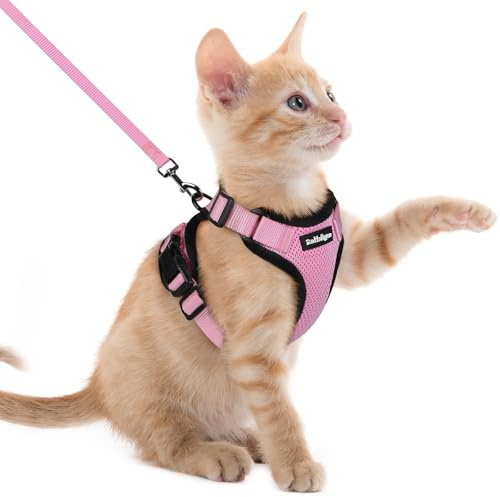 rabbitgoo Harnais Chat Anti évasion avec Laisse Rose XXS, Harnais Chaton Petit Chien Réglable, Collier Harnais et Laisses pour Chat Refléchissant Attache Dessus Gilet Respirant pour Lapin Chat Chiot