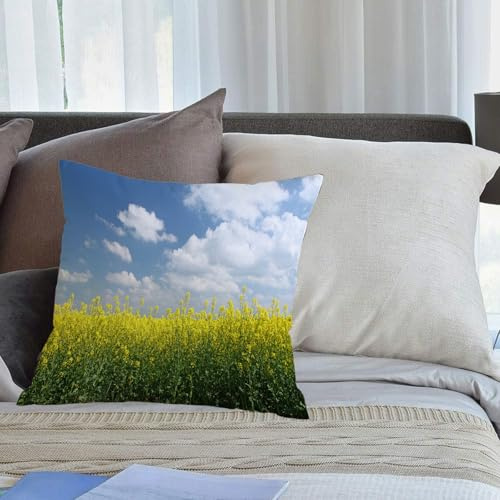 KHWEJ Cushion Covers Square Throw Pillow Case Printed Soft Pillowcases for Outdoor Patio Sofa Balcony Living Room,Country Home, Rapeseed field in bloom and clouds with clear sky S,20x20 in