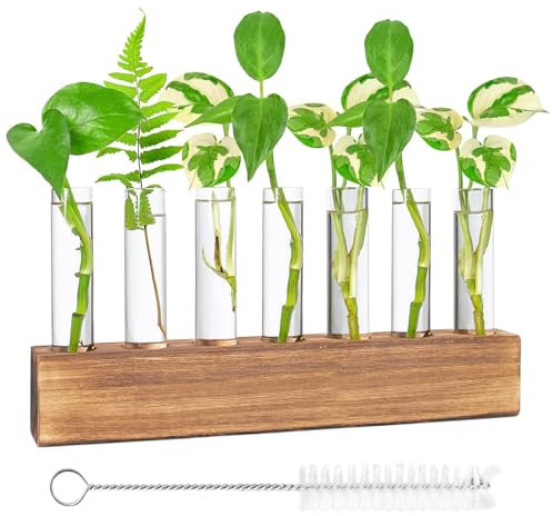 Vase en Verre De Tube À Essai Station De Propagation Vase en Verre Hydroponique avec Support en Bois pour Plantes Hydroponiques, Décoration(8)