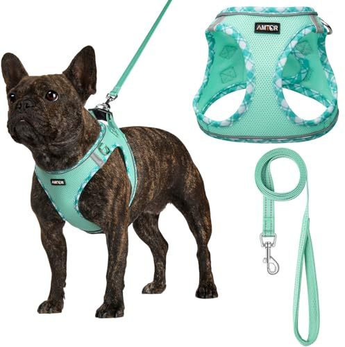 AMTOR Small Dog Harness with Leash Set, No Escape Easy Walk Puppy Harnesses for Training Walking, Step-in Reflective Soft Dogs Vest for XS S Medium Extra-Small Large Sized Dog(Green,S)