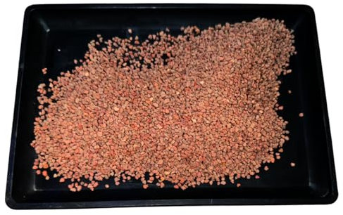 BonsaiPro Lapillus Optima Lapillo volcánico, sustrato, mantillo, para plantas ornamentales y bonsáis de grano extrafino