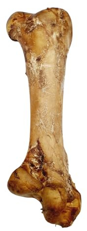 Ostrich Dino Bone For Dogs - Natural Dog Bones
