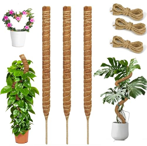 SYXLS 3 Piezas Tutores para Planta, 30 Cm De Moss Stick Plegable, Soporte De Plantas De Coco Hecho a Mano para, Poste De Soporte De Plantas, para Apoyar y Guiar El Crecimiento De Las Plantas