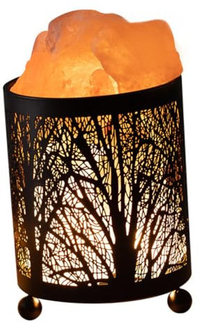 NUOBESTY Lampe à Sel Veilleuse Décorative En Fer Forgé, Lampe De Table Petite Pour Bureau Et Chambre, Ampoule Incluse, Veilleuse Compacte Pour Ambiance Salon Et Chevet, Prise Ue, 1 Kit